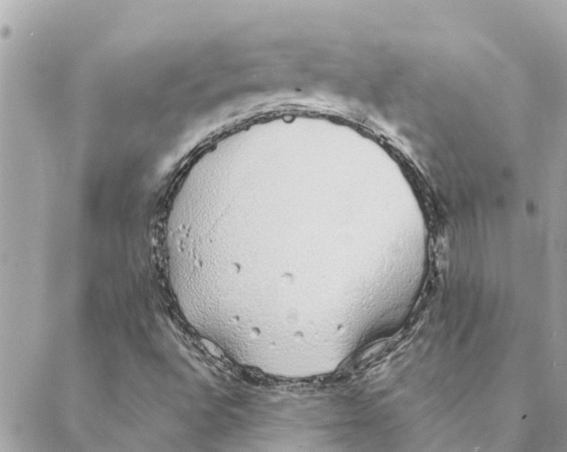 X0000088071496200706011500