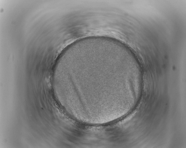 X0000088071497200706011500