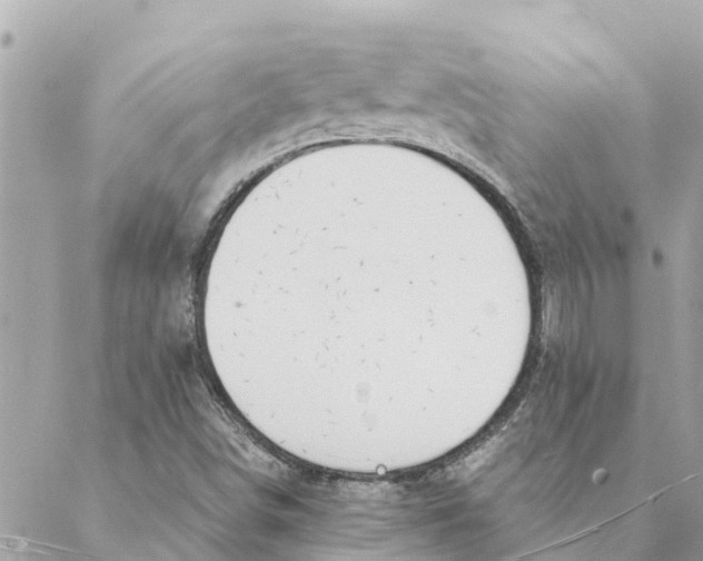 X0000088071498200706011500