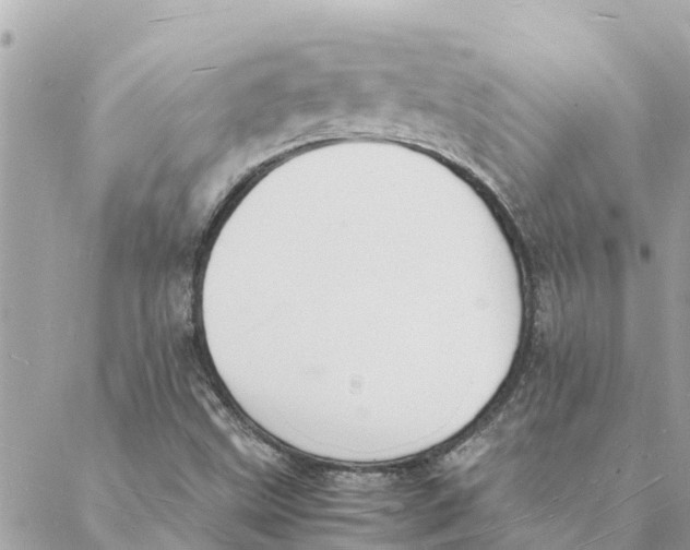 X0000088071499200706011500