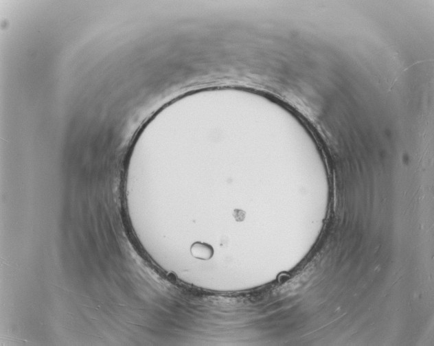 X0000088071500200706011500