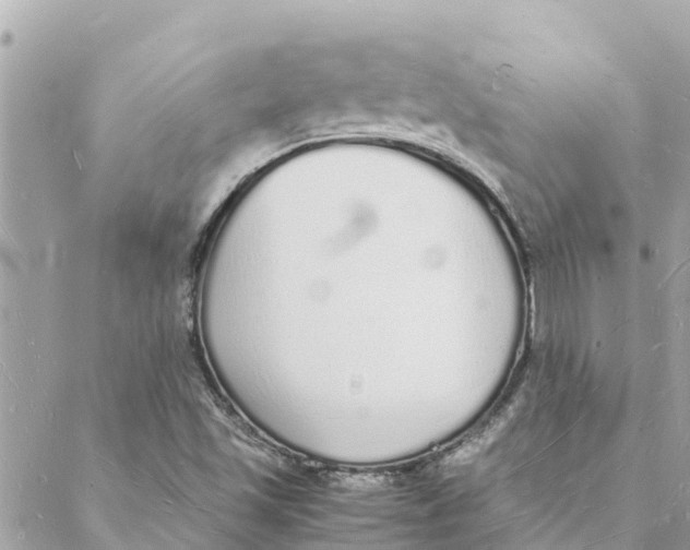 X0000088071501200706011500