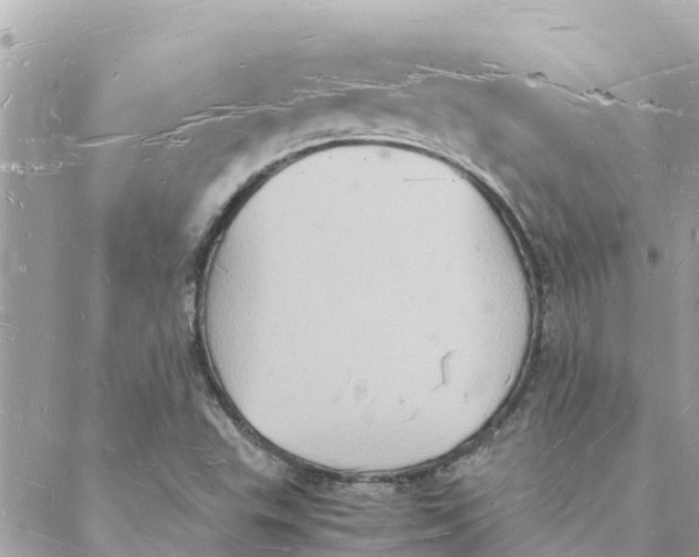 X0000088071503200706011500