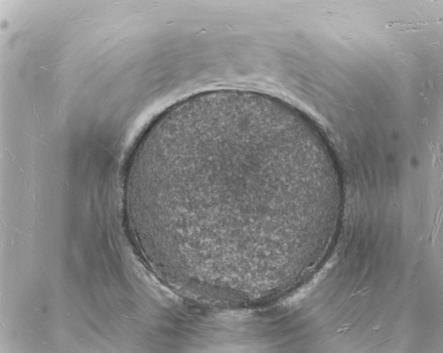 X0000088071506200706011500