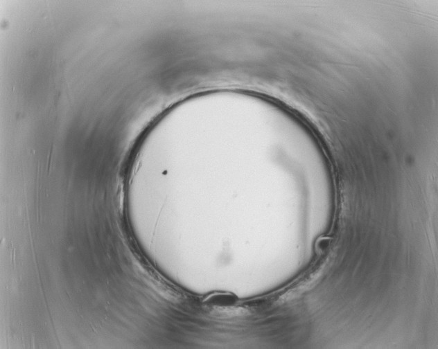 X0000088071509200706011500