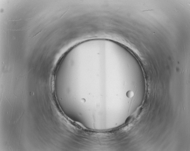 X0000088071510200706011500