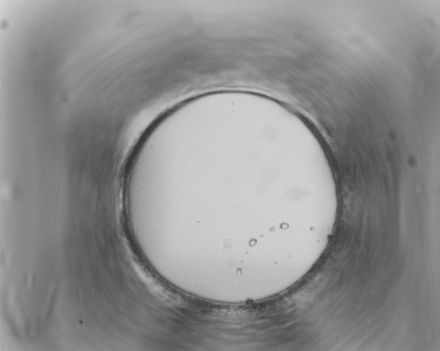 X0000088071511200706011500