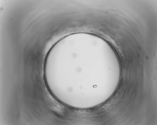 X0000088071512200706011501