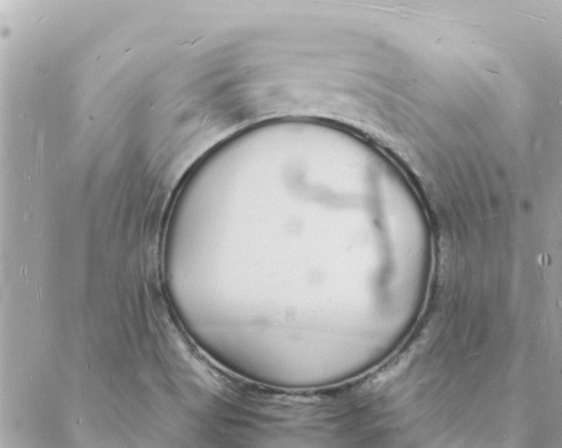 X0000088071513200706011501