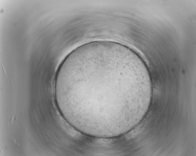 X0000088071514200706011501