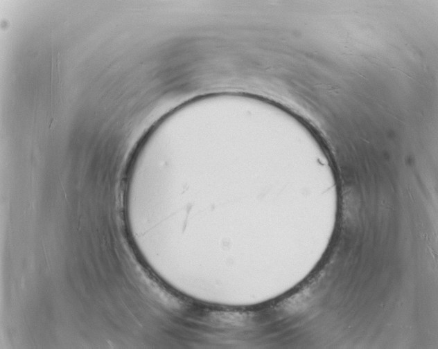 X0000088071517200706011501