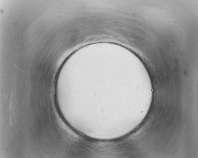 X0000088071518200706011501