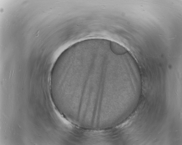 X0000088071519200706011501