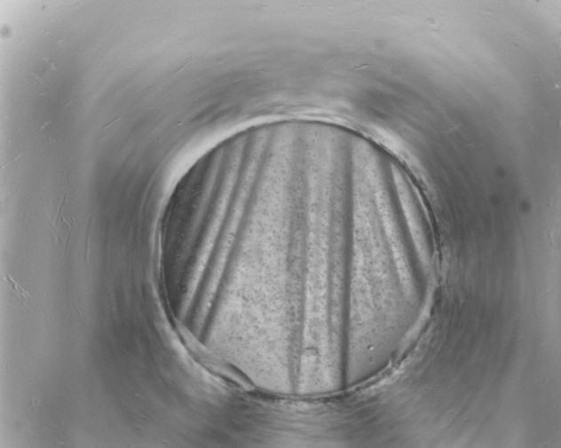 X0000088071520200706011501