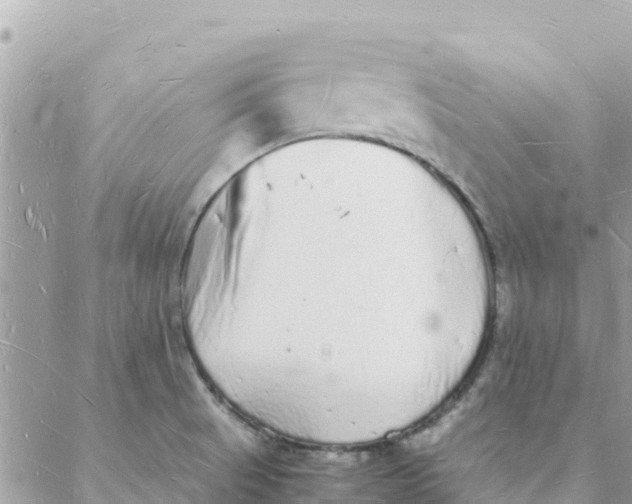 X0000088071521200706011501