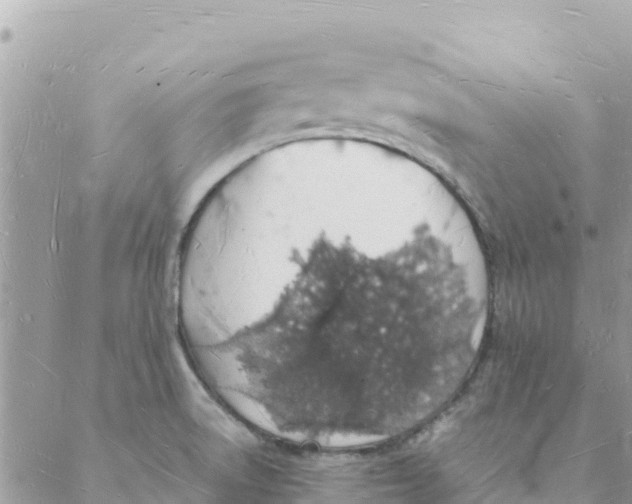 X0000088071522200706011501