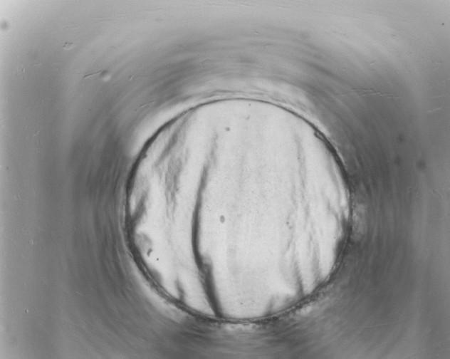 X0000088071523200706011501