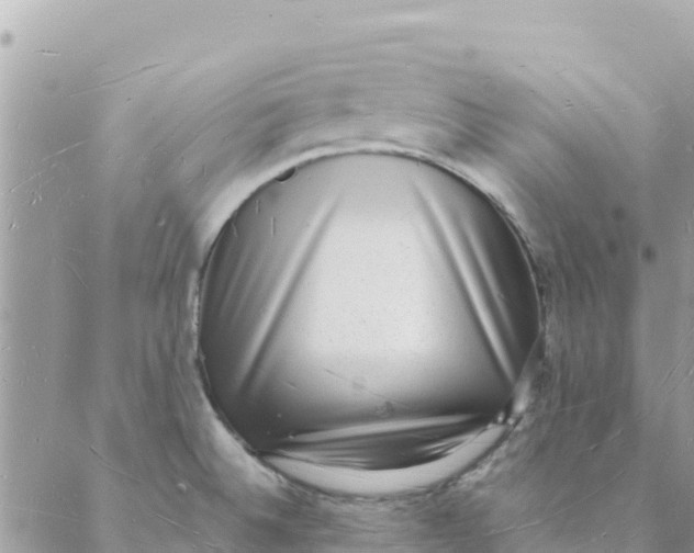 X0000088071524200706011501