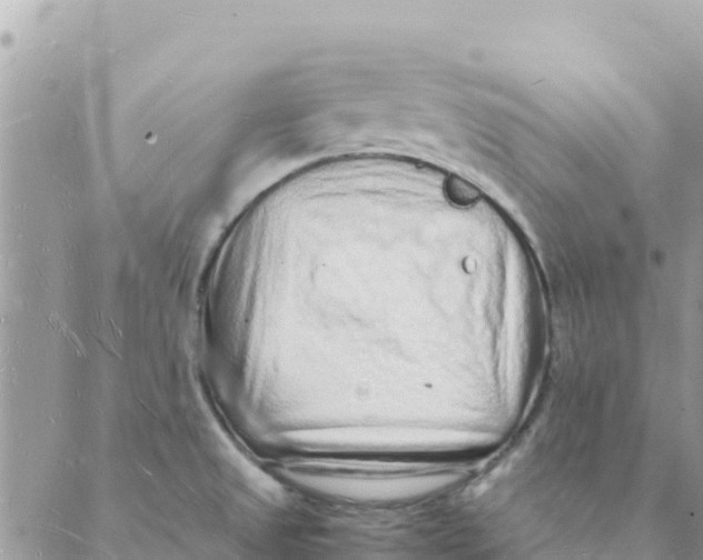 X0000088071525200706011501