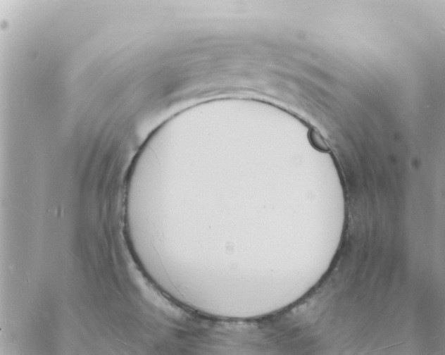 X0000088071526200706011501