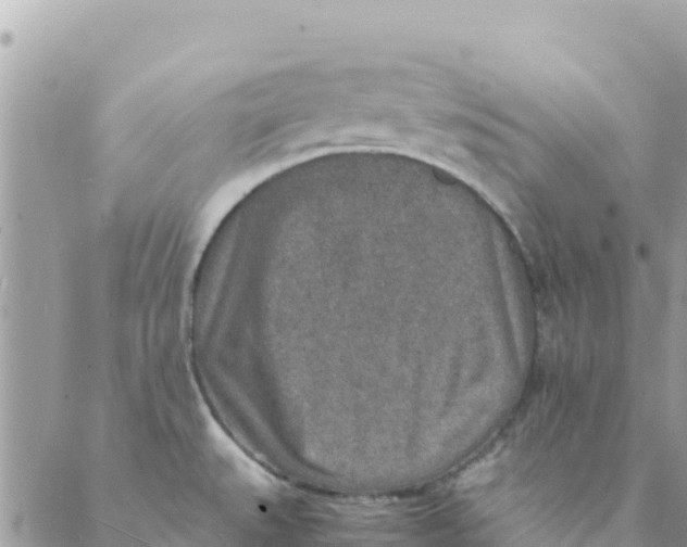 X0000088071527200706011501