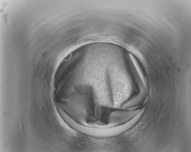 X0000088071528200706011501