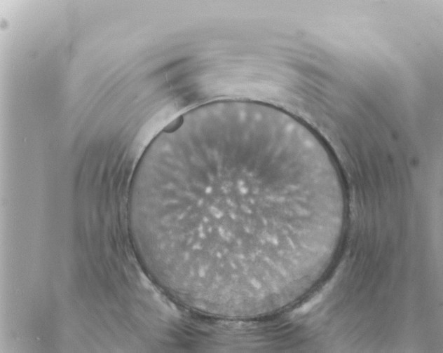 X0000088071529200706011501