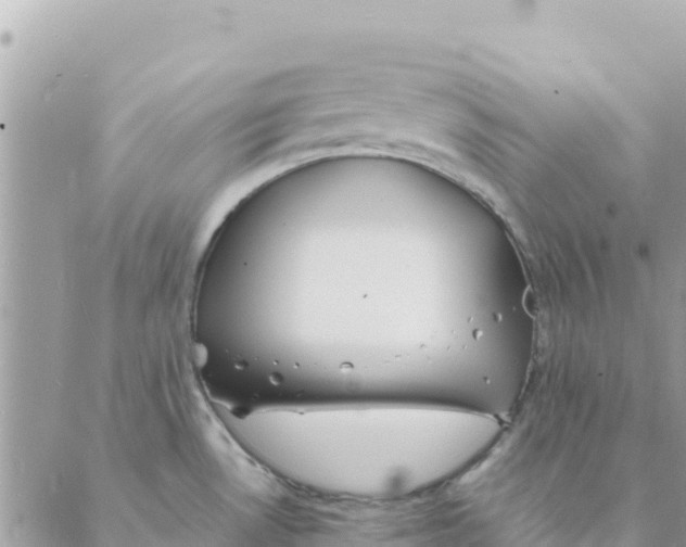 X0000088071530200706011501