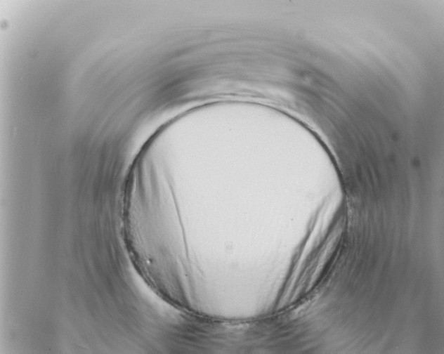 X0000088071531200706011501