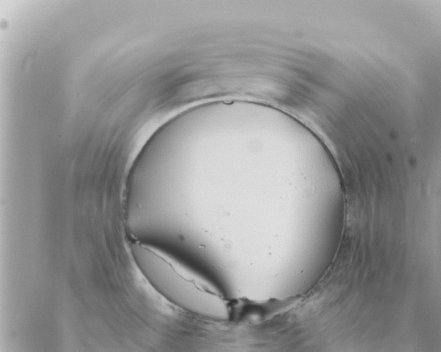 X0000088071532200706011501