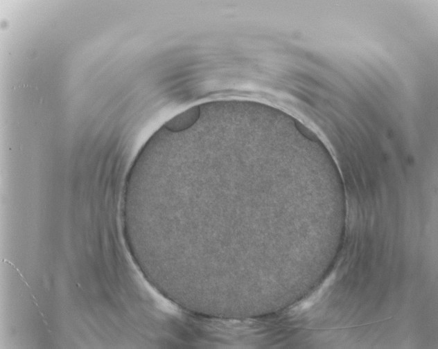 X0000088071533200706011501