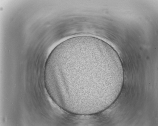 X0000088071534200706011501