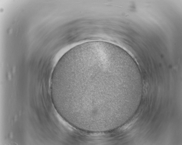 X0000088071535200706011501