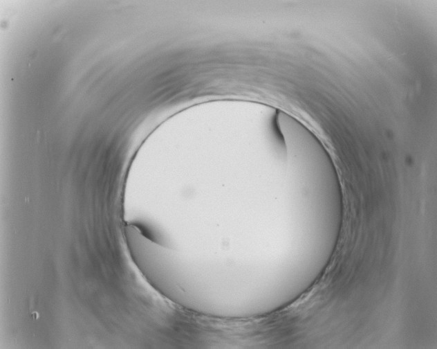 X0000088071536200706011501