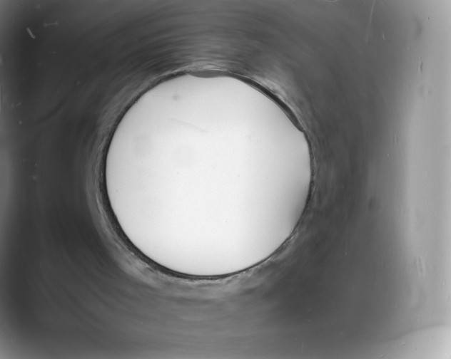 X0000088070001200706081719