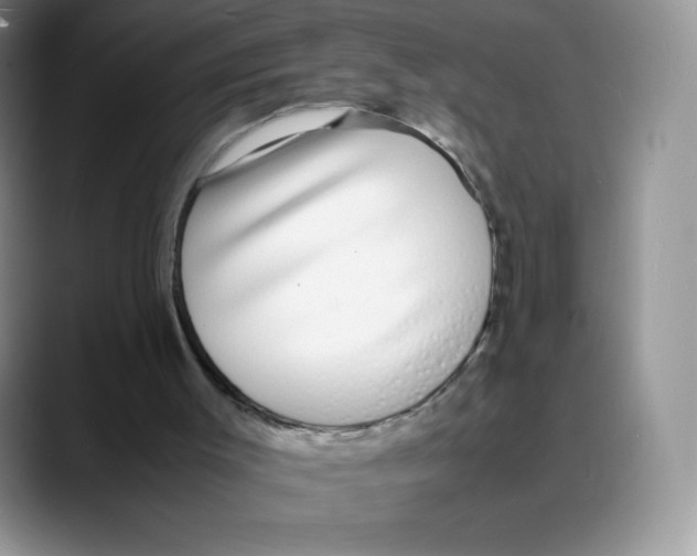 X0000088070003200706081719