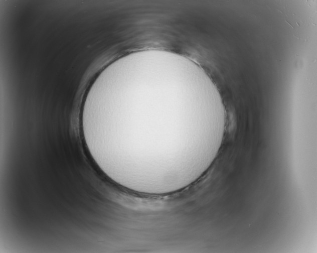 X0000088070004200706081719
