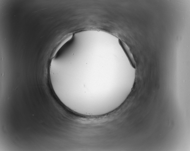 X0000088070005200706081719