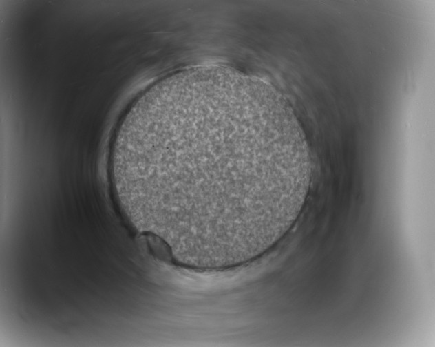 X0000088070006200706081719