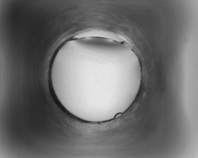 X0000088070007200706081719