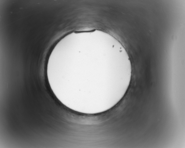 X0000088070008200706081719