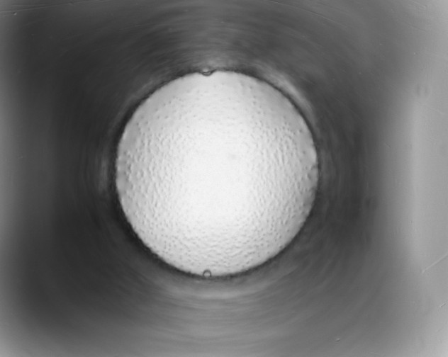 X0000088070010200706081719