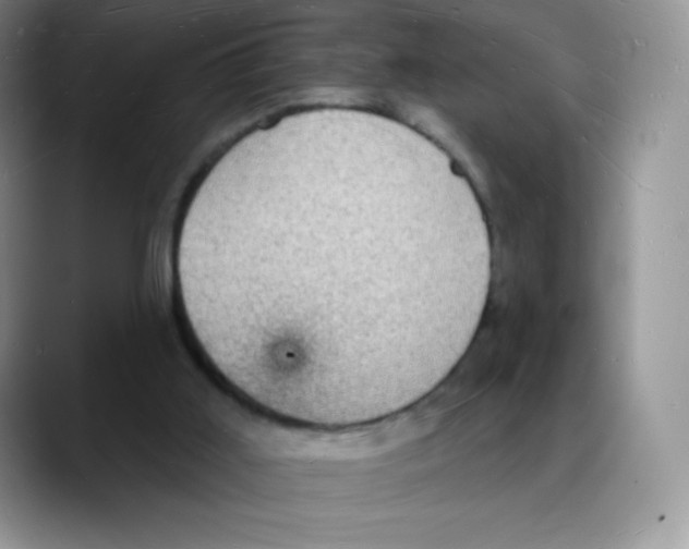 X0000088070011200706081719