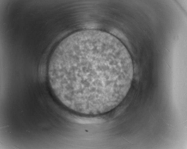 X0000088070012200706081719