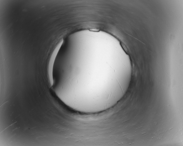 X0000088070013200706081719