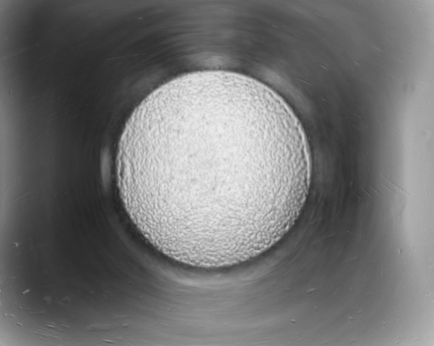 X0000088070014200706081719