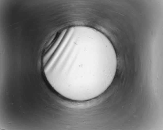 X0000088070015200706081719