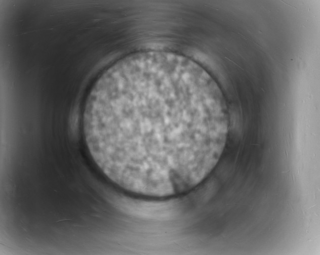 X0000088070016200706081719