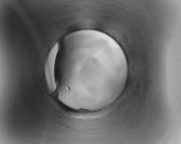 X0000088070017200706081718