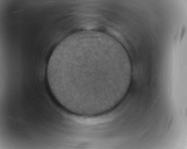 X0000088070018200706081718